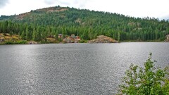 nature forest river landscape