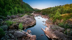 nature forest river landscape Trees