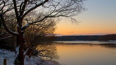 nature forest river sunset