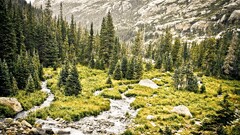 nature forest Trees hdr Mountains landscape rocks