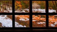 nature forest window fall snow winter