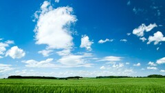 nature grass clouds sky blue landscape Green