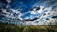 nature grass hdr landscape plains Plants sky clouds