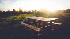 nature grass landscape bench table sunlight