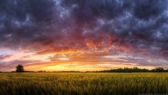 nature hdr sunset landscape plains summer sky clouds sunlight