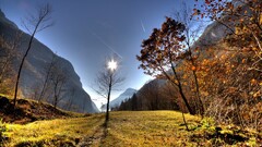 nature hdr Trees sky landscape