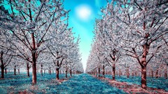 nature infrared Trees