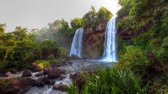 nature jungle waterfall Iguazu Falls brasil