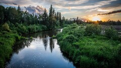 nature Lake forest sunlight