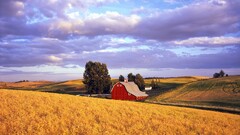nature landscape field barn farm hills