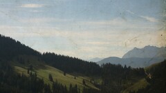 nature landscape forest