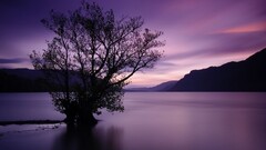 nature landscape Lake Trees sky Mountains water