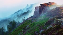 nature landscape mist