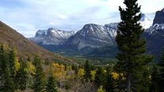 nature landscape Mountains Trees