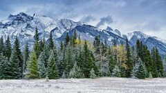 nature landscape Mountains Trees snow