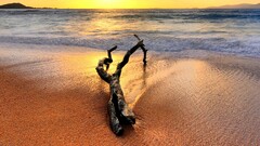 nature landscape multiple display beach Sea