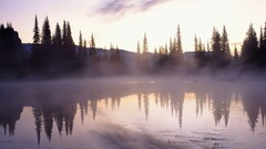 nature landscape multiple display