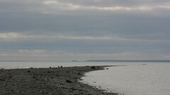 nature landscape overcast coast