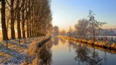 nature landscape river Trees winter ice snow