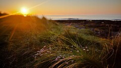 nature landscape Sea beach orange sky grass sunset sun rays