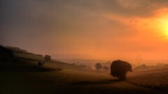 nature landscape sunlight field mist