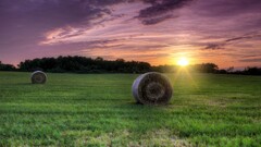 nature landscape sunset sky grass sunlight field clouds