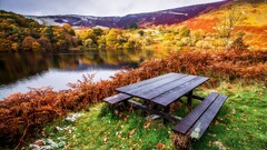 nature landscape table bench Lake