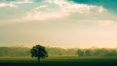 nature landscape Trees clouds sky field mist sunlight