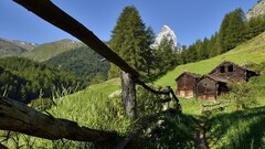 nature landscape Trees Mountains Green Plants House