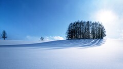 nature landscape winter snow