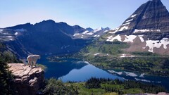nature Mountains Lake reflection landscape glacier national park