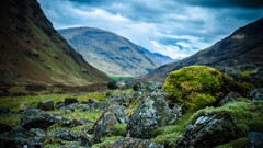 nature Mountains landscape stones moss