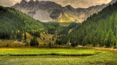 nature Mountains Trees