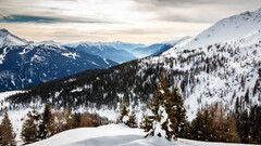 nature Mountains Trees snow landscape Italy winter pine trees