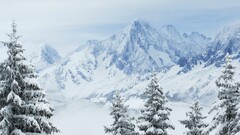 nature Mountains Trees snow landscape