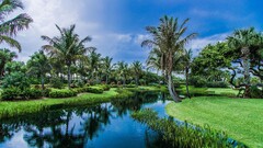 nature palm trees Garden Lake resort