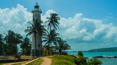 nature palm trees Sea lighthouse sky clouds