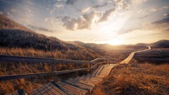 nature path Wood stairs sky