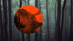 nature polyscape Trees forest circle digital art