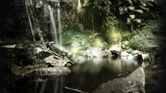 nature pond Plants outdoors