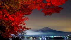 nature red leaves Mountains mount fuji stratovolcano landscape