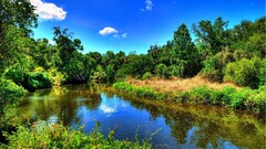 nature river colorful landscape