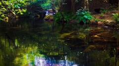 nature river colorful water landscape