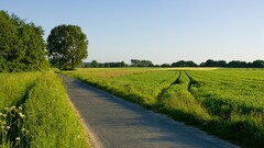 nature road grass landscape field