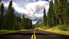nature road Trees Canada asphalt sky outdoors
