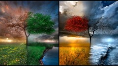 nature seasons collage Trees landscape