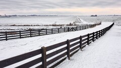 nature snow fence landscape winter overcast white field