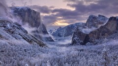 nature snow Trees Mountains Yosemite National Park winter