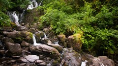 nature stones outdoors waterfall Plants water rock