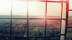 nature sunlight fence